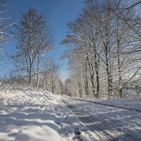 Welcome In - Modernes 70-ma In Der Naehe Der Skipiste Winterberg